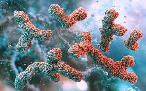Revelan un mecanismo que promueve la resistencia de suberbacterias a los antibióticos - Ciencia - ABC Color