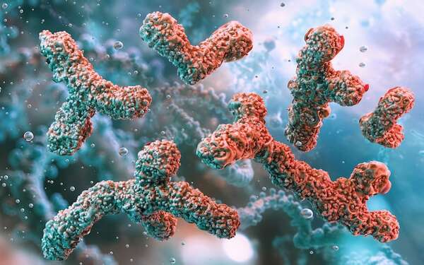 Revelan un mecanismo que promueve la resistencia de suberbacterias a los antibióticos - Ciencia - ABC Color