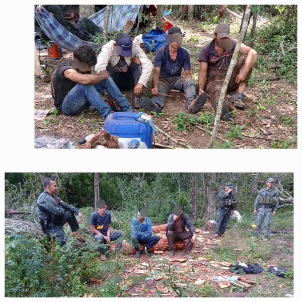 Aprehensión por delitos ambientales en estancia Zanja Morotí, Puentesiño.
