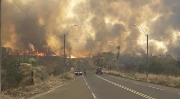 Ante voraces incendios, bomberos trabajan más de 30 horas continuas - ADN Digital