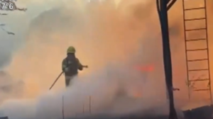 Más de sesenta mil hectáreas afectadas por incendios forestales en enero - SNT