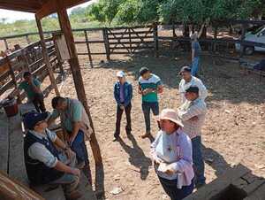 SAN PEDRO DE YCUAMANDYYÚ: SENACSA REALIZÓ CAPACITACIONES A CERTIFICADORES Y VACUNADORES