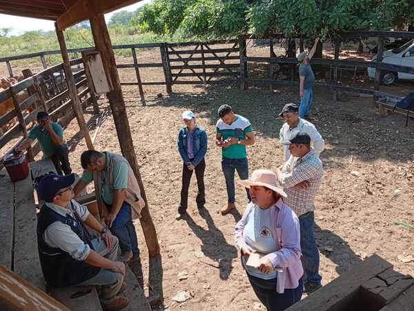 SAN PEDRO DE YCUAMANDYYÚ: SENACSA REALIZÓ CAPACITACIONES A CERTIFICADORES Y VACUNADORES