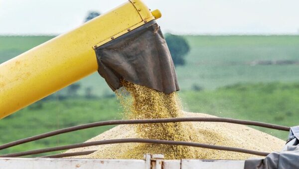 IPP: Índice de precios al productor registra suba del 2,5% al cierre de noviembre - MarketData