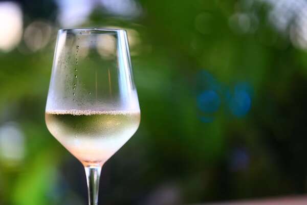 Torrontés: la cepa del verano - Gastronomía - ABC Color