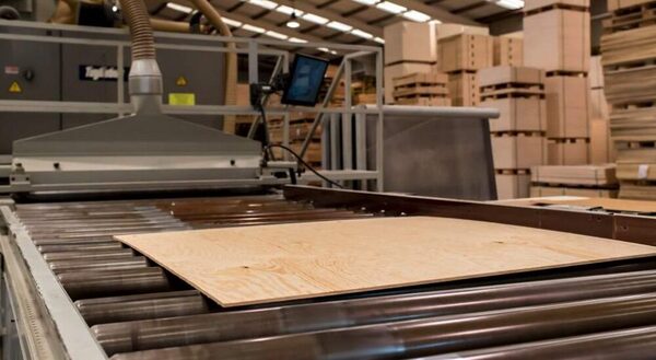 Industria apuesta por mercados globales con madera contrachapada de alta calidad