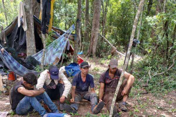 Delito ambiental: Capturan a presuntos depredadores de reservas forestales en zona de Puentesiño - Policiales - ABC Color