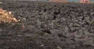 Diario HOY | Incendio de pastizal en Villeta puso en riesgo varias viviendas