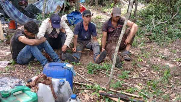 Detienen a personas que fueron sorprendidas talando árboles para crear postes