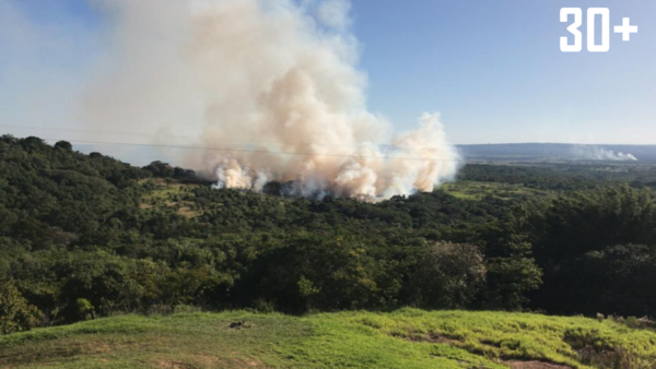 Desde el Cuerpo Bomberos aseguran que reciben un reporte de 40 incendios forestales por día - trece