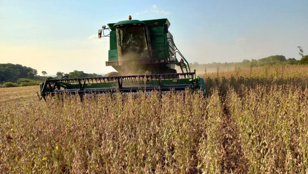 Soja: 84% de suelos cultivables están con déficit hídrico, alertan