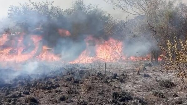 El incendio provocado de cada día: Queman pastizales y arriesgan viviendas - ADN Digital