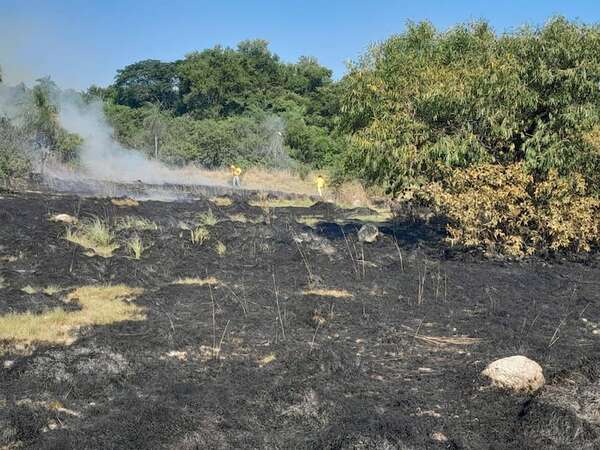 Incendios forestales: Infona extenderá prohibición total de uso de fuego - Nacionales - ABC Color