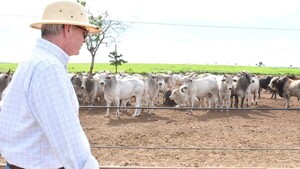 Gremios aplauden decisión del BCP de dar auxilio financiero al sector rural por la sequía