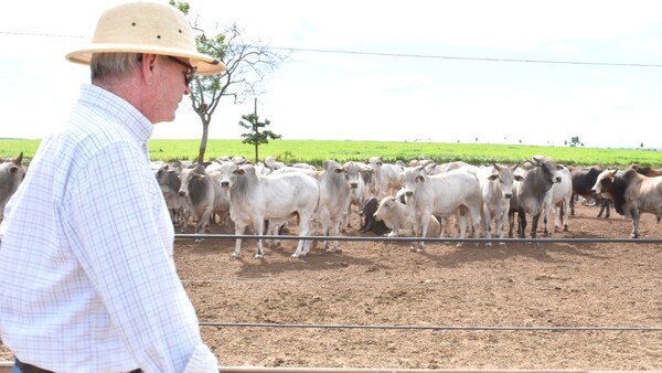 Gremios aplauden decisión del BCP de dar auxilio financiero al sector rural por la sequía