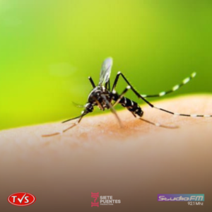 DENGUE: PRIMER CASO CONFIRMADO EN ITAPÚA - TVS