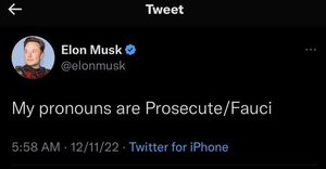 La verdad resuena: Elon Musk cargó contra el doctor Fauci