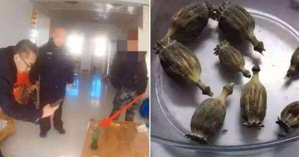 Diario HOY | Niño denuncia a su padre por drogas tras ser castigado por no hacer tareas