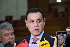 Cancillería duplicó viáticos y pasajes para sostener giras de Santiago Peña - Política - ABC Color
