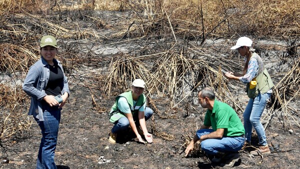 Banco San Miguel se regenera tras incendio y concienciación será clave