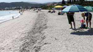 Mirá cómo luce la playa Jureré de Florianópolis a un año de la ampliación de su playa - Viajes - ABC Color