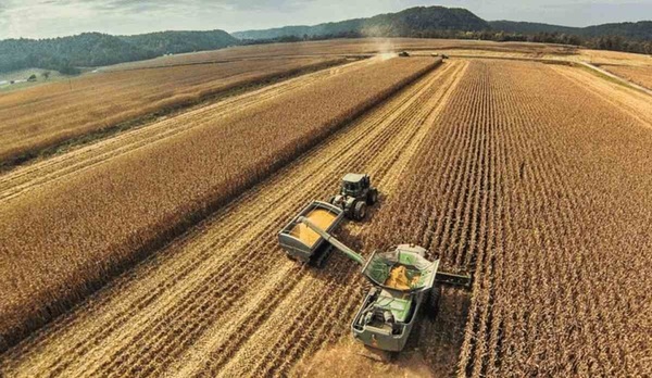 China suspende importación de soja brasileña por contaminación con agrotóxicos - ADN Digital