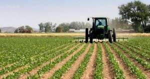 Diario HOY | Realizan acciones para impulsar sector orgánico y agroecológico