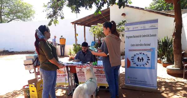 La Nación / Ofrecen diagnóstico gratuito de leishmaniasis en perros