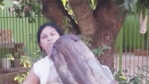 Vendedora valé ofrece pescados por TikTok