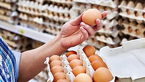 Tras notable crecimiento, prevén envíos de huevo local a Chile por primera vez