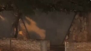 Policía detiene a una pareja por tener sexo en la vía pública en San Lorenzo