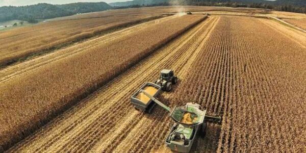 China suspende importación de soja brasileña por contaminación con agrotóxicos