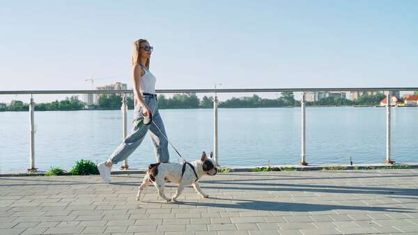 El poder de las caminatas: beneficios físicos y mentales de caminar todos los días - Estilo de vida - ABC Color