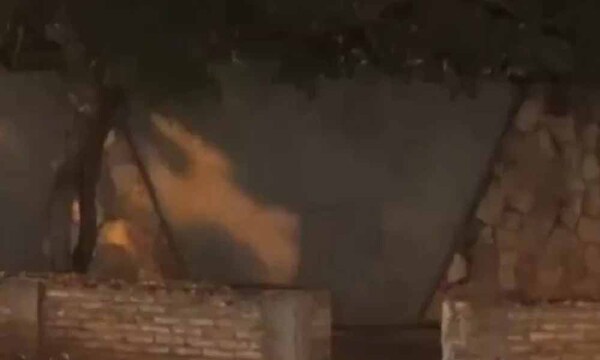 Policía detiene a una pareja por tener sexo en la vía pública en San Lorenzo – Prensa 5