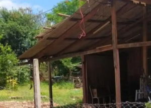 Hombre muere tras sufrir una descarga eléctrica en Minga Guazú