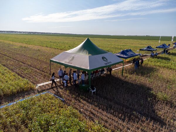 Agrofértil exhibió variedades de soja precoces y recomendó híbridos de maíz Agroeste para zafriña en Volendam