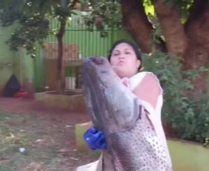 (VIDEO)Doñita causa furor por surubí gigante