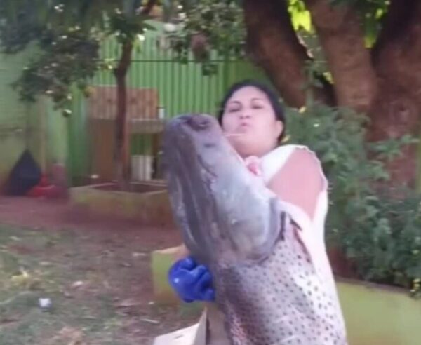 (VIDEO)Doñita causa furor por surubí gigante