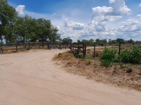 Violento asalto en granja de Vallemí deja un herido de bala - trece