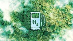 El papel esencial de los biocombustibles en la transición energética  - Negocios - ABC Color