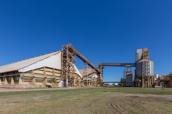 Paraguay necesita políticas para industrializar al máximo su producción de soja, según la Cappro | Locales | 5Días