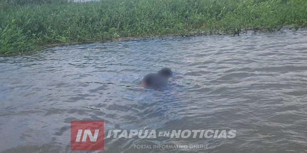 HALLAN CUERPO SIN VIDA EN EL RÍO PARANÁ EN PUERTO OBLIGADO - Itapúa Noticias