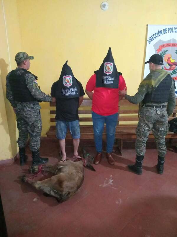 Yaguarón: Detienen a dos presuntos abigeos y recuperan una vaquilla  - Nacionales - ABC Color