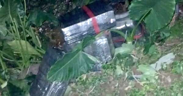 La Nación / Hallan 200 kg de droga a orillas del río Paraná