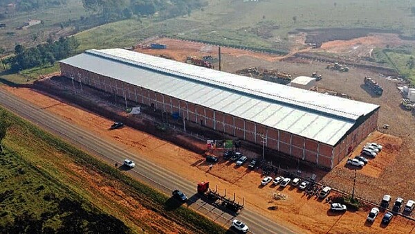 Procesadora de madera prevé exportar 80% de su producción