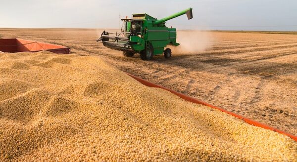 Argentina reduce retenciones al campo y elimina impuestos para economías regionales
