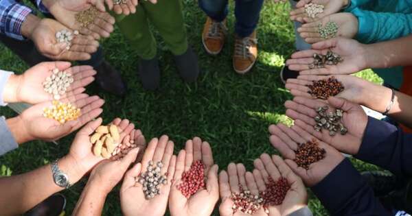 La Nación / Con apoyo de España, el MAG potenciará productos orgánicos