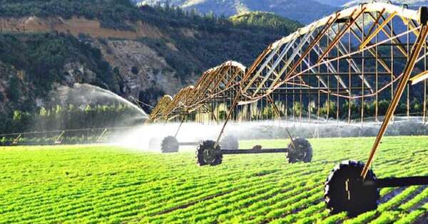 La Nación / Experto israelí apoyará con know how para desarrollar agricultura de precisión