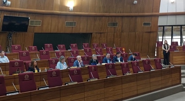 Ausencia de cartistas impide sesión reservada sobre caso Pecci