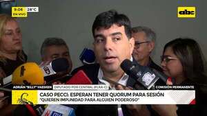 “Si no vienen es por algo”: cartismo busca impunidad en el caso Pecci, acusa diputado - ABC Noticias - ABC Color